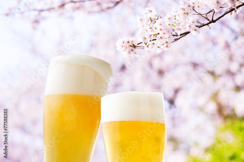 ビール（桜）