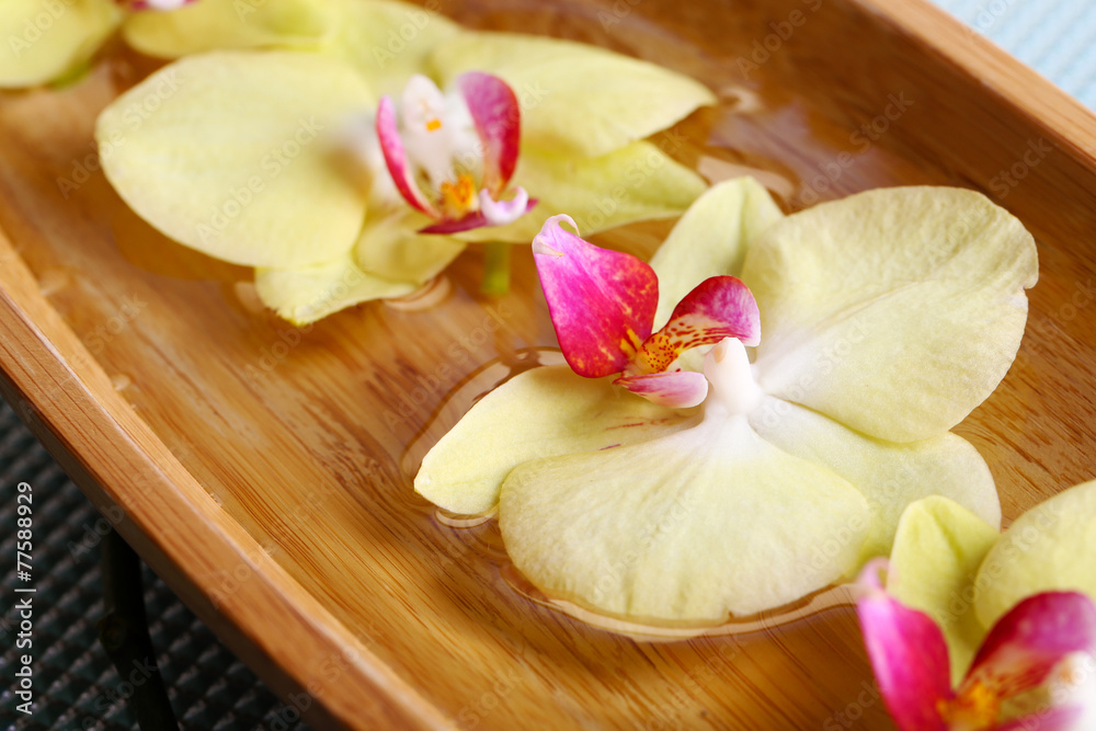 Beautiful orchid flowers in water close-up Beautiful orchid flowers in water close-up
