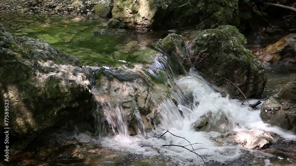 Shot of river rapids in the wood Shot of river rapids in the wood