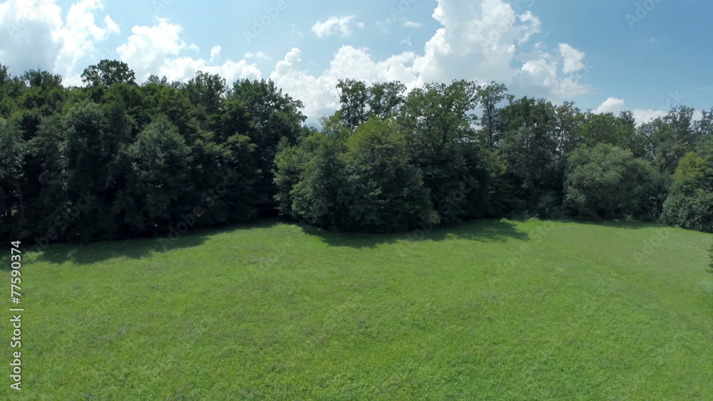 Green grass field in countryside near forest Green grass field in countryside near forest