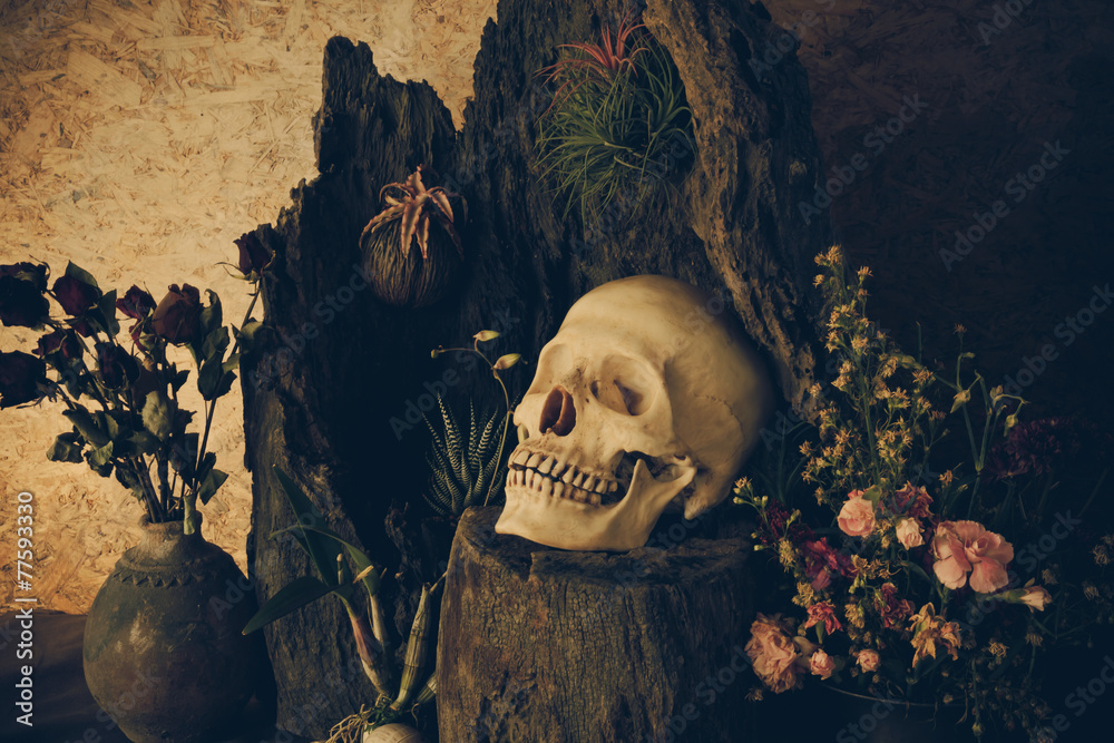 Still life with a human skull with desert plants, cactus, roses