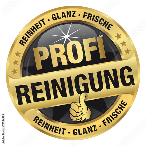 Profireinigung - Reinheit, Glanz und Frische