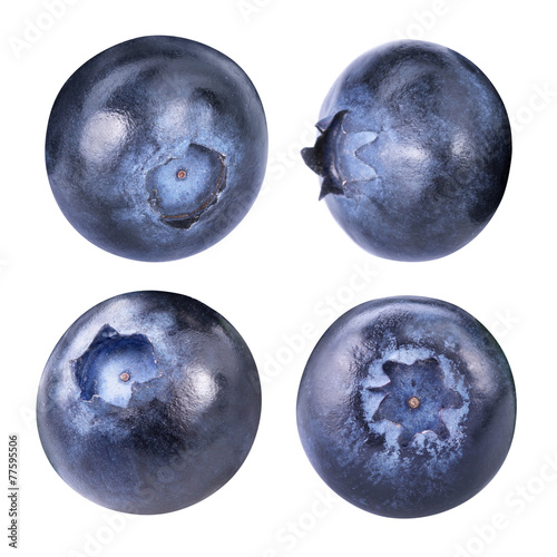 blueberries isolated