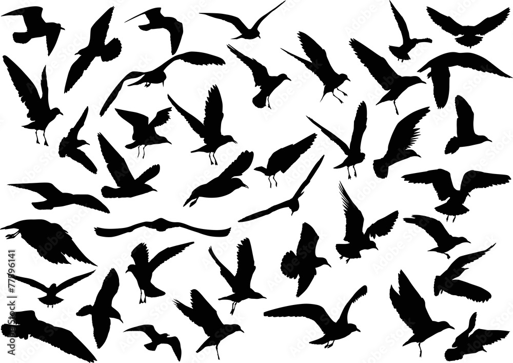 set of forty gull black silhouettes set of forty gull black silhouettes
