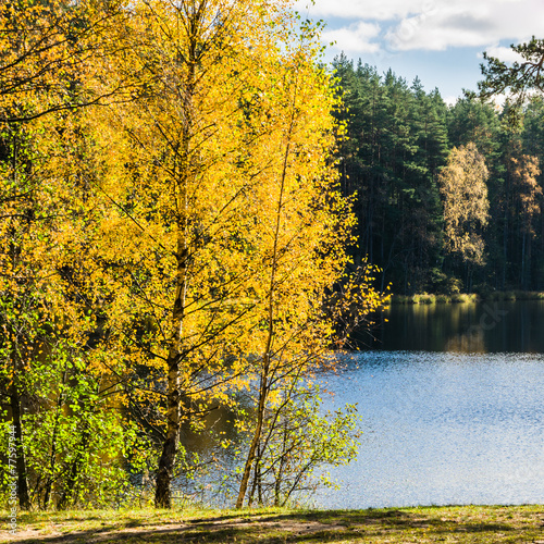 Beautiful autumn landscape with forest Lake