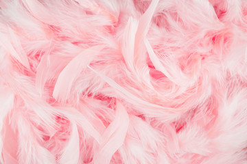Pink feathers background