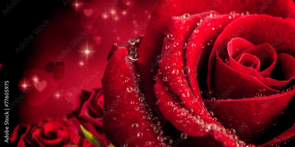 Naklejka premium Composite image of rose