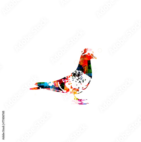 Pigeon vector background