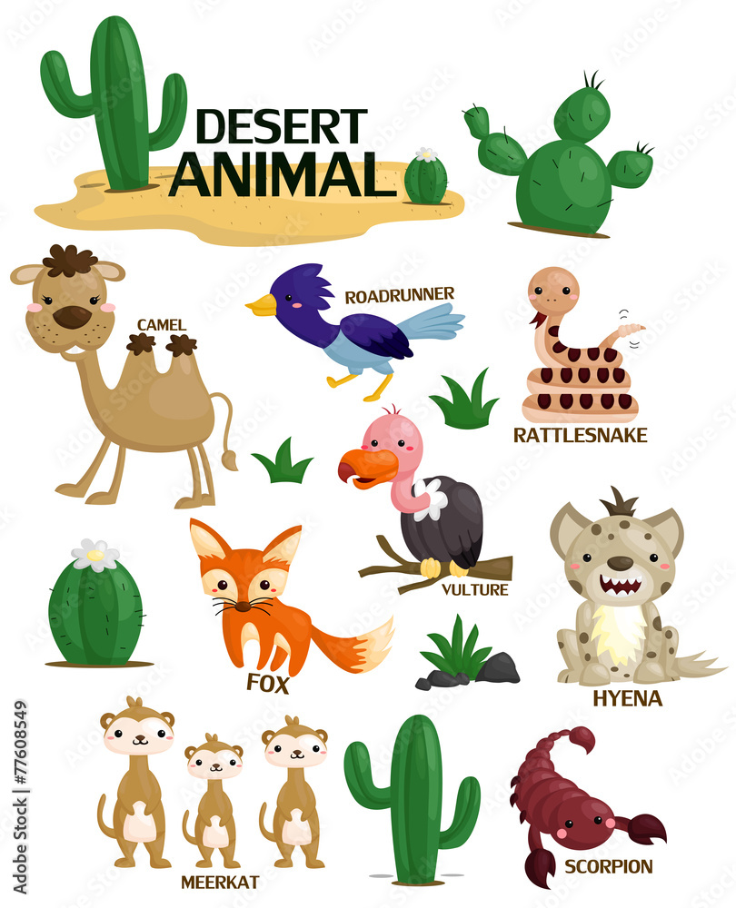 Desert Animal Vector Set Desert Animal Vector Set