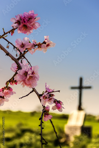 PASQUA.Morte e rinascita.ITALIA(Puglia) photo