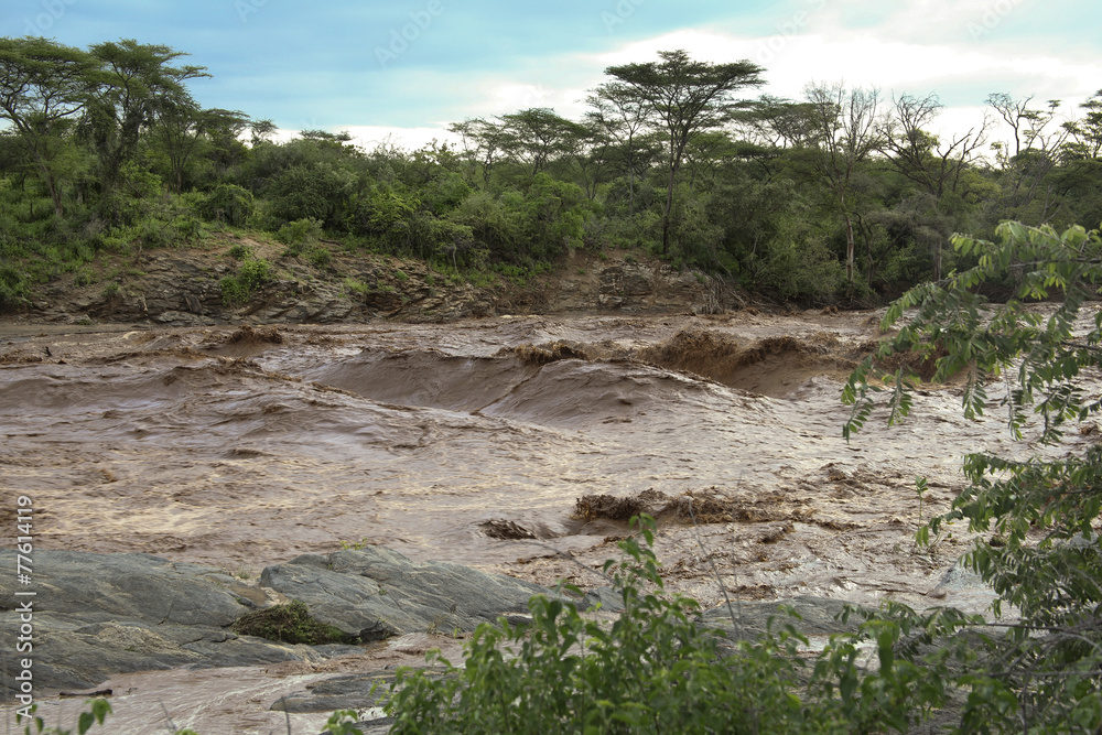 Rough African river