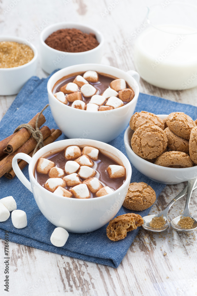 cocoa with marshmallows and almond cookies on white wooden table cocoa with marshmallows and almond cookies on white wooden table