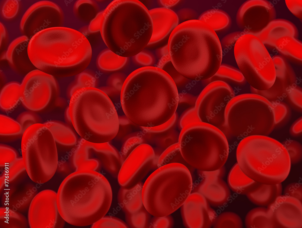 Red blood cells flowing with shallow depth of field Red blood cells flowing with shallow depth of field