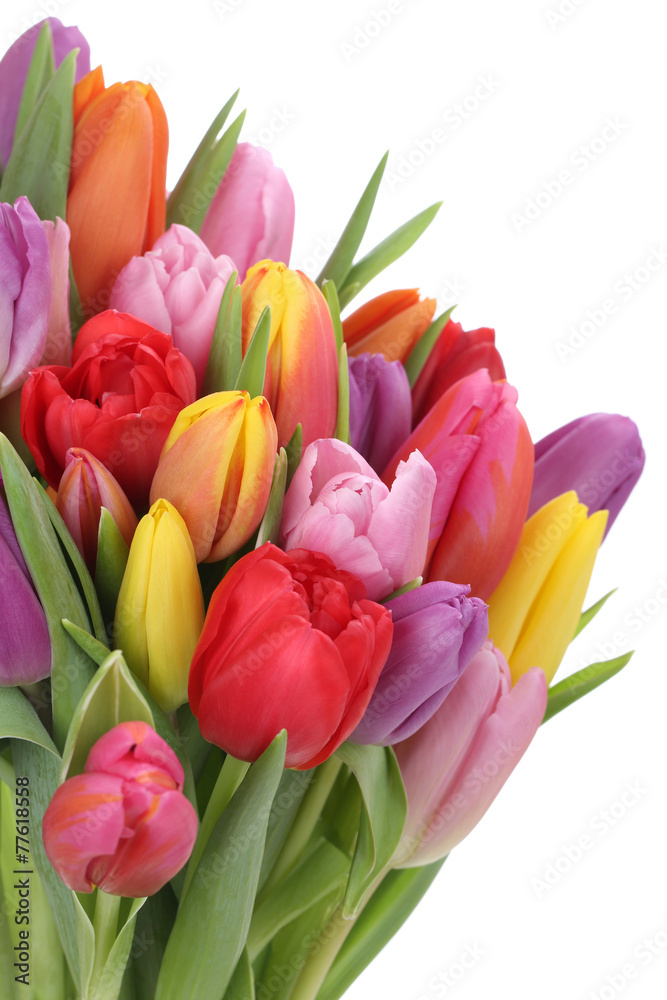 Blumenstrauß mit Tulpen im Frühling oder Muttertag Freisteller - obrazy, fototapety, plakaty 