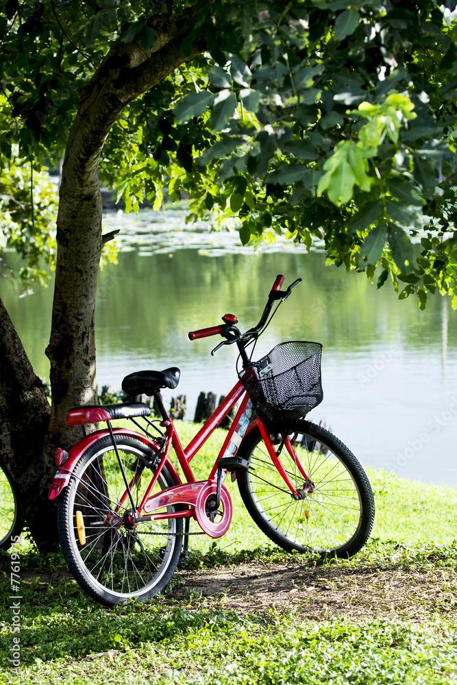 Red Bicycle under shade trees and waterfront  in Park.Reflect of