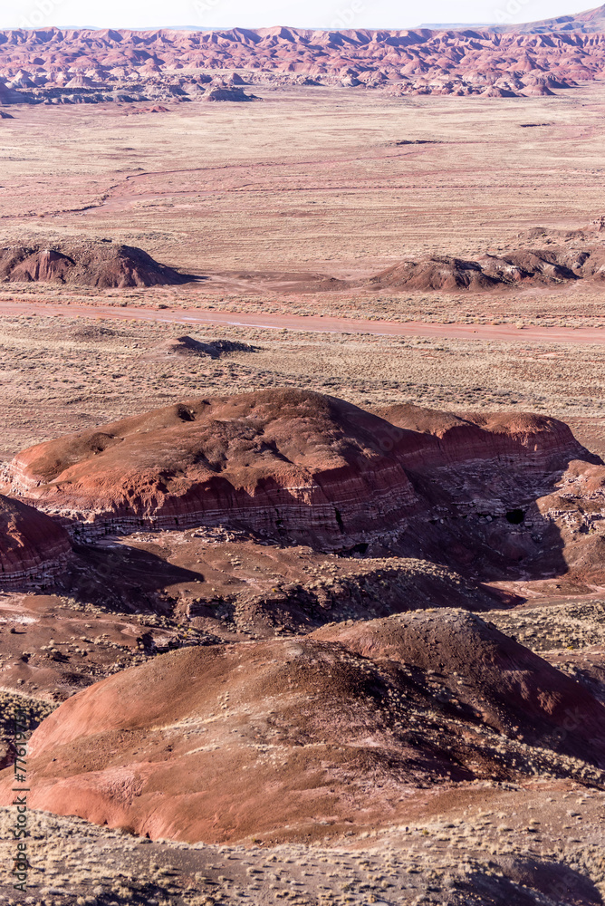 Fototapeta premium December 21, 2014 - Petrified Forest, AZ, USA