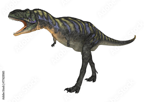 Dinosaur Aucasaurus