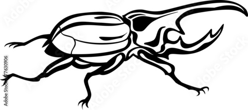 Vector scarab beetle, tattoo style, fully editable eps file photo