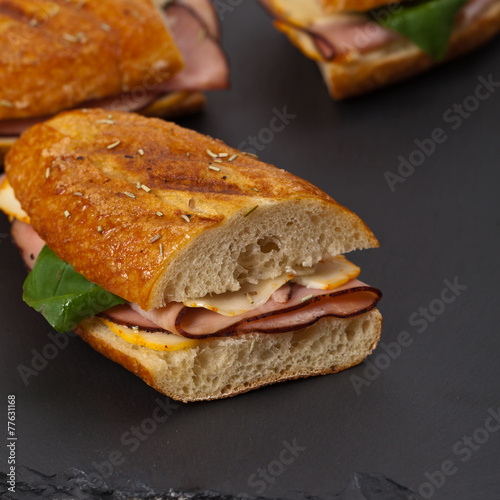 Grilled Ham and Cheese Panini Sandwich. Selective focus.