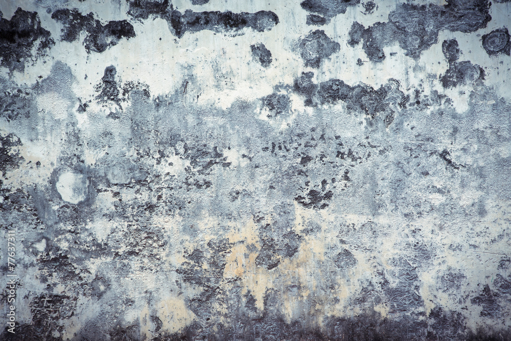 Obraz premium Grunge Wall - Old Grunge Background