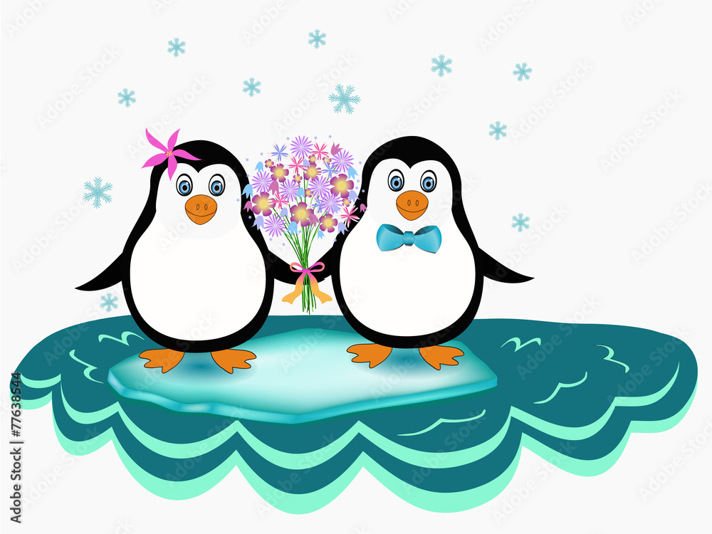 penguin couple penguin couple
