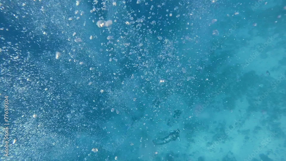 divers swim to the depths of the sea