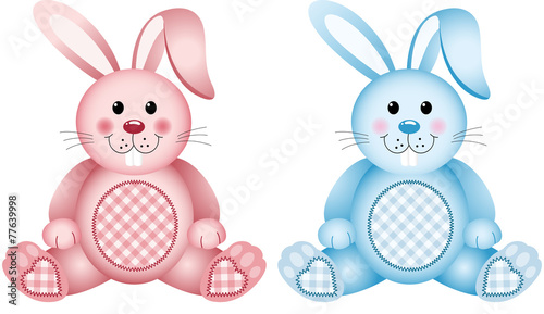 Baby bunny pink And blue