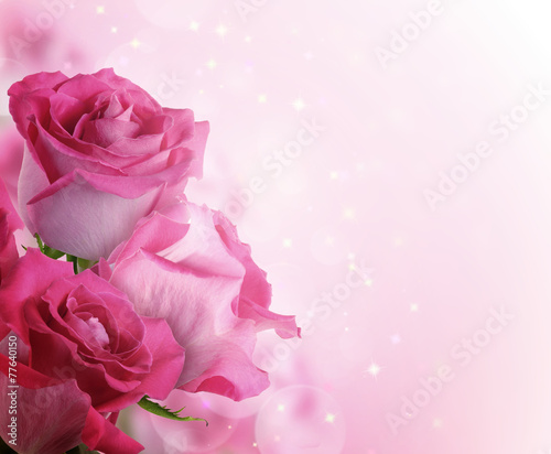 beautiful background with flowers roses