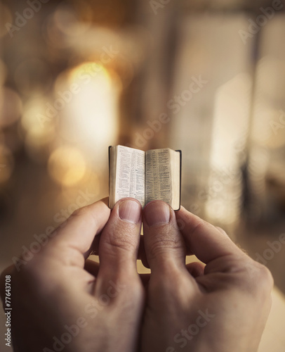 Tiny Bible photo