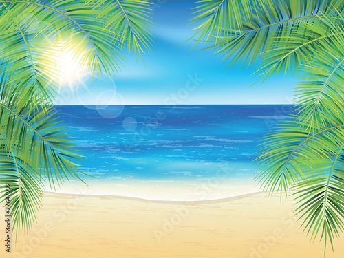 Sand beach and the palm branches at sunset time.