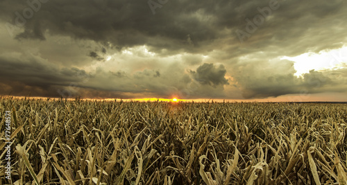 Bild auf Leinwand Crop(ped) Sunset, dark clouds with a sharp line ending, sun after the dark cloud