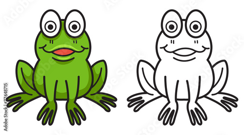 colorful and black and white frog for coloring book