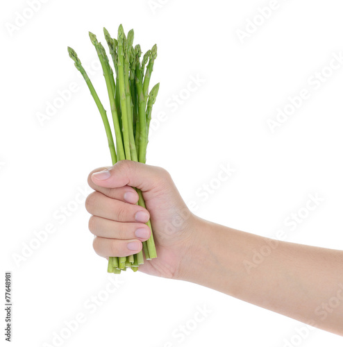 female hand holding fresh asparagus isolated on white background