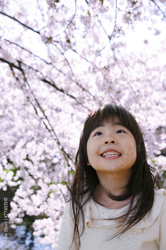 桜と女の子 © taniho