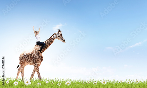 Woman saddling giraffe
