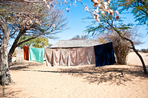 Obraz na plátně Deserto del Kalahari, Botswana, Africa