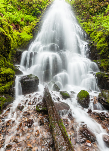Fairy falls in Columbia River Gorge  Oregon