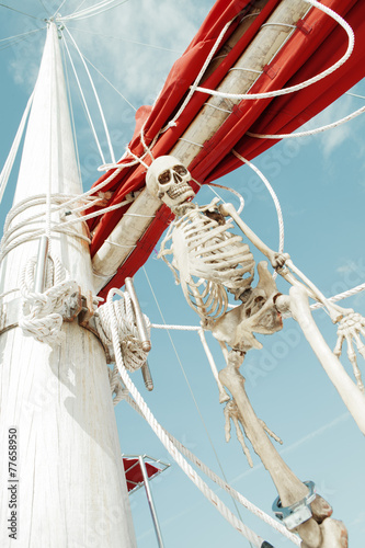 skeleton photo