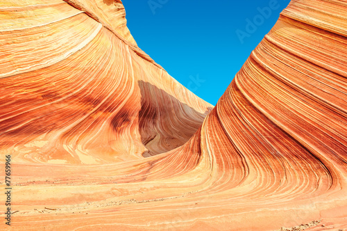 Canvas Print The Wave, Coyote  Buttes North,  Arizona