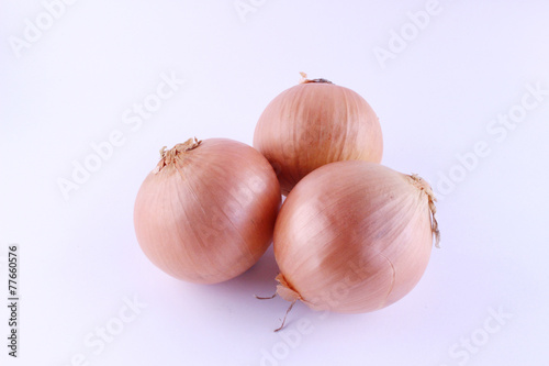 Wallpaper Mural たまねぎ Torontodigital.ca