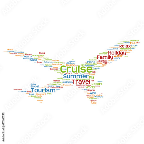 Vector conceptual travel or tourism plane word cloud