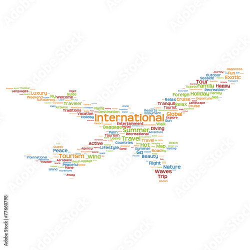 Vector conceptual travel or tourism plane word cloud