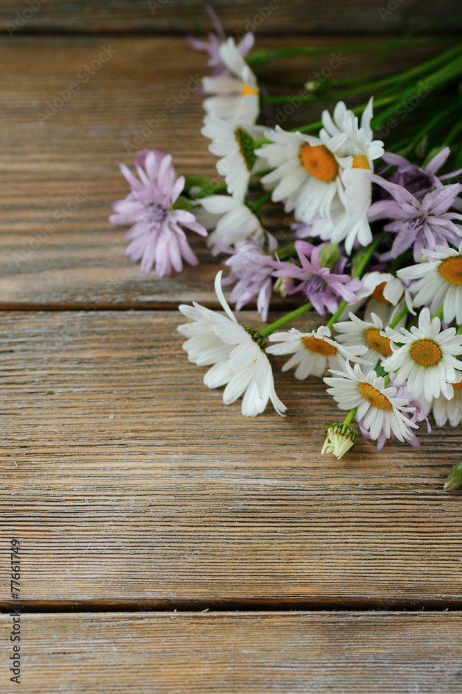 Obraz premium Beautiful daisies on a wooden background