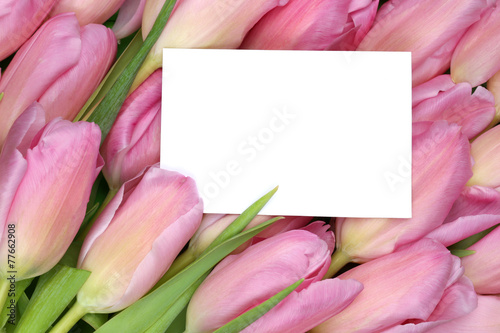 Fototapeta Naklejka Na Ścianę i Meble -  Tulpen Blumen im Frühling oder Muttertag mit leerer Karte und T