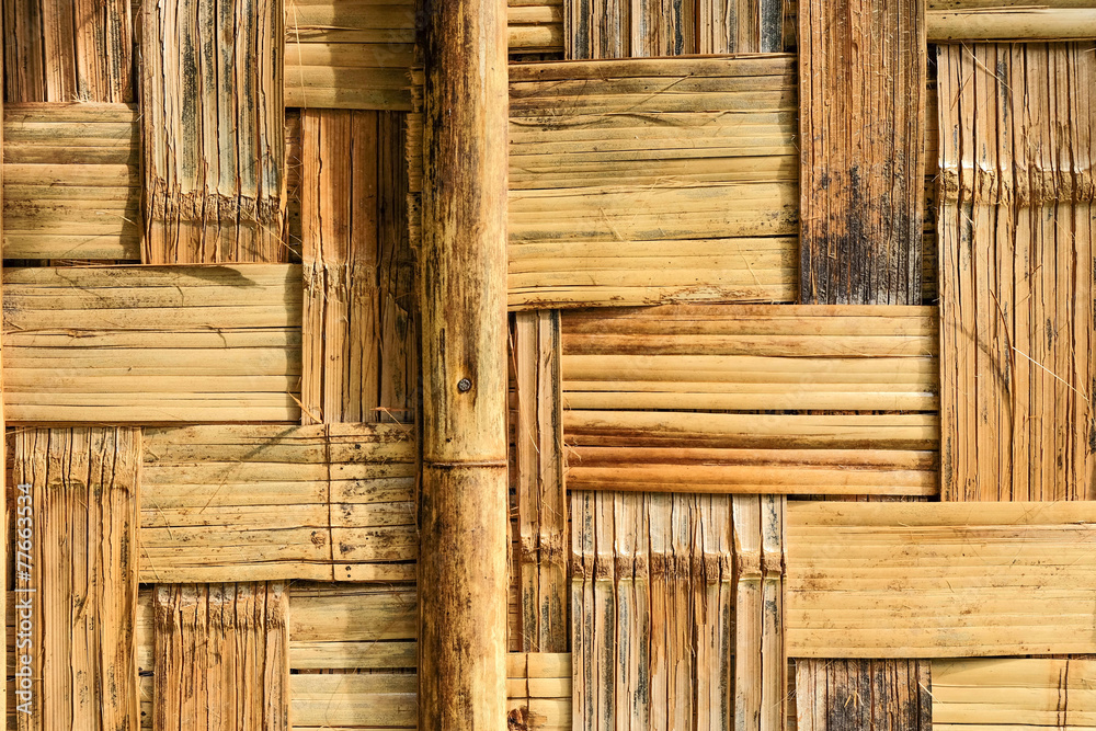 bamboo texture bamboo texture