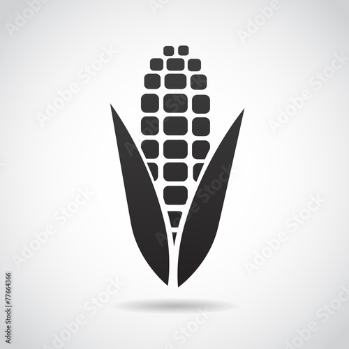 Corn vector icon.