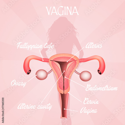 Vagina photo