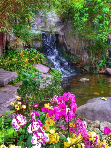 landscaping. tropical garden