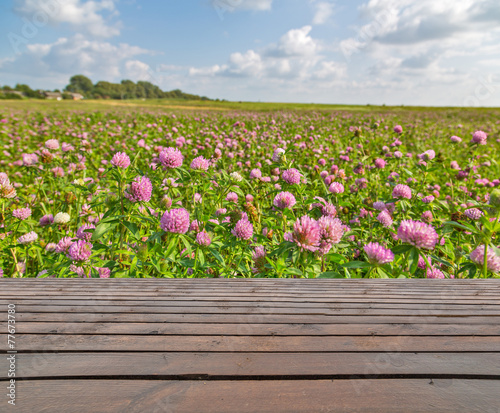 wood planks and pink clover flowers