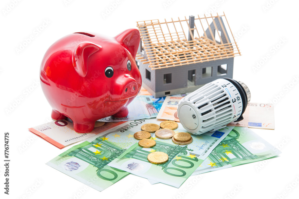 Fototapeta premium Energy saving